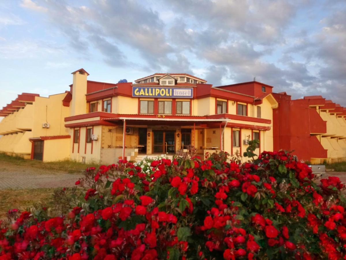 Gallipoli Hotel فندق غيليبولو